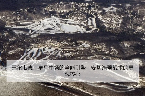 ba-er-wei-de-huang-ma-zhong-chang-de-quan-neng-yin-qing-an-qie-luo-di-zhan-shu-de-ling-hun-he-xin-2-605.jpg