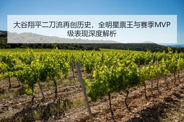 大谷翔平二刀流再创历史，全明星票王与赛季MVP级表现深度解析