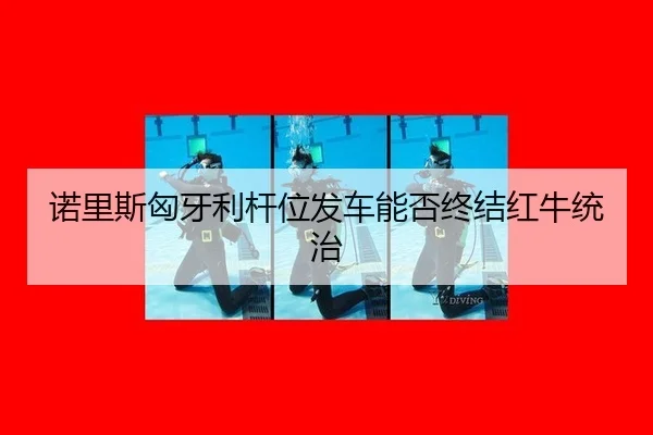 nuo-li-si-xiong-ya-li-gan-wei-fa-che-neng-fou-zhong-jie-hong-niu-tong-zhi-3-841.jpg