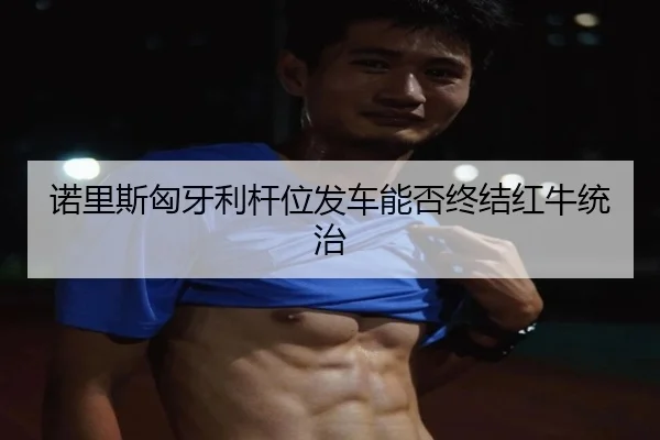 诺里斯匈牙利杆位发车能否终结红牛统治
