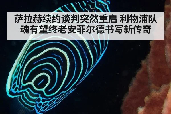 萨拉赫续约谈判突然重启 利物浦队魂有望终老安菲尔德书写新传奇