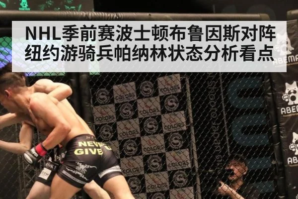 NHL季前赛波士顿布鲁因斯对阵纽约游骑兵帕纳林状态分析看点 - YABO SPORTS